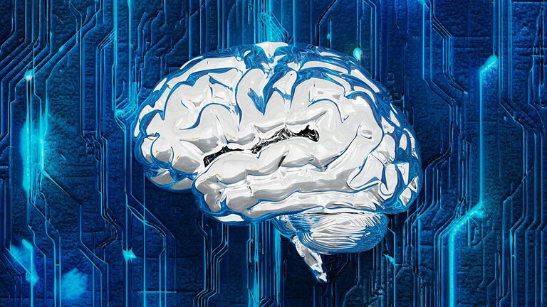 Cervello analogico