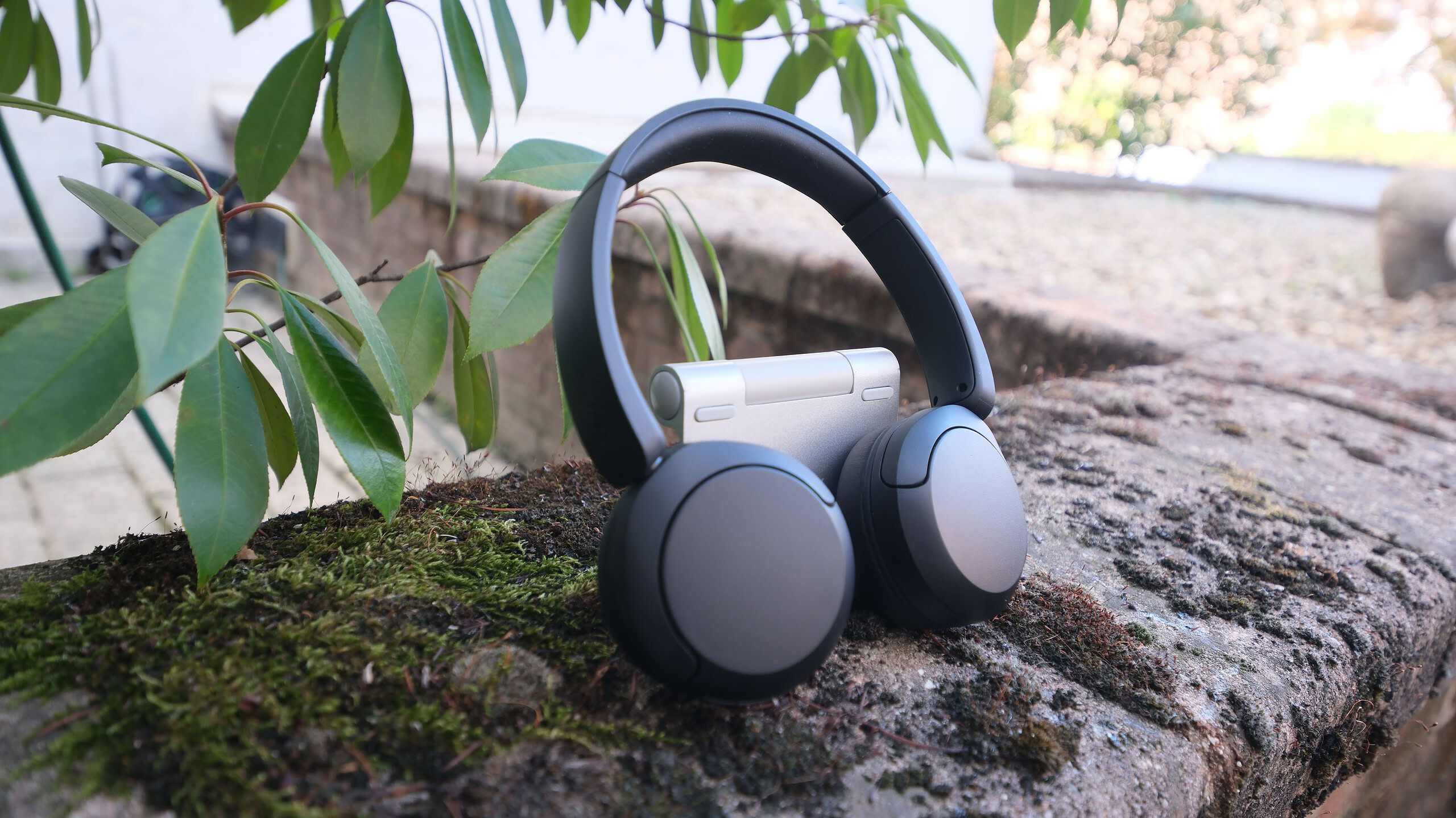 sony wh-ch530 - design