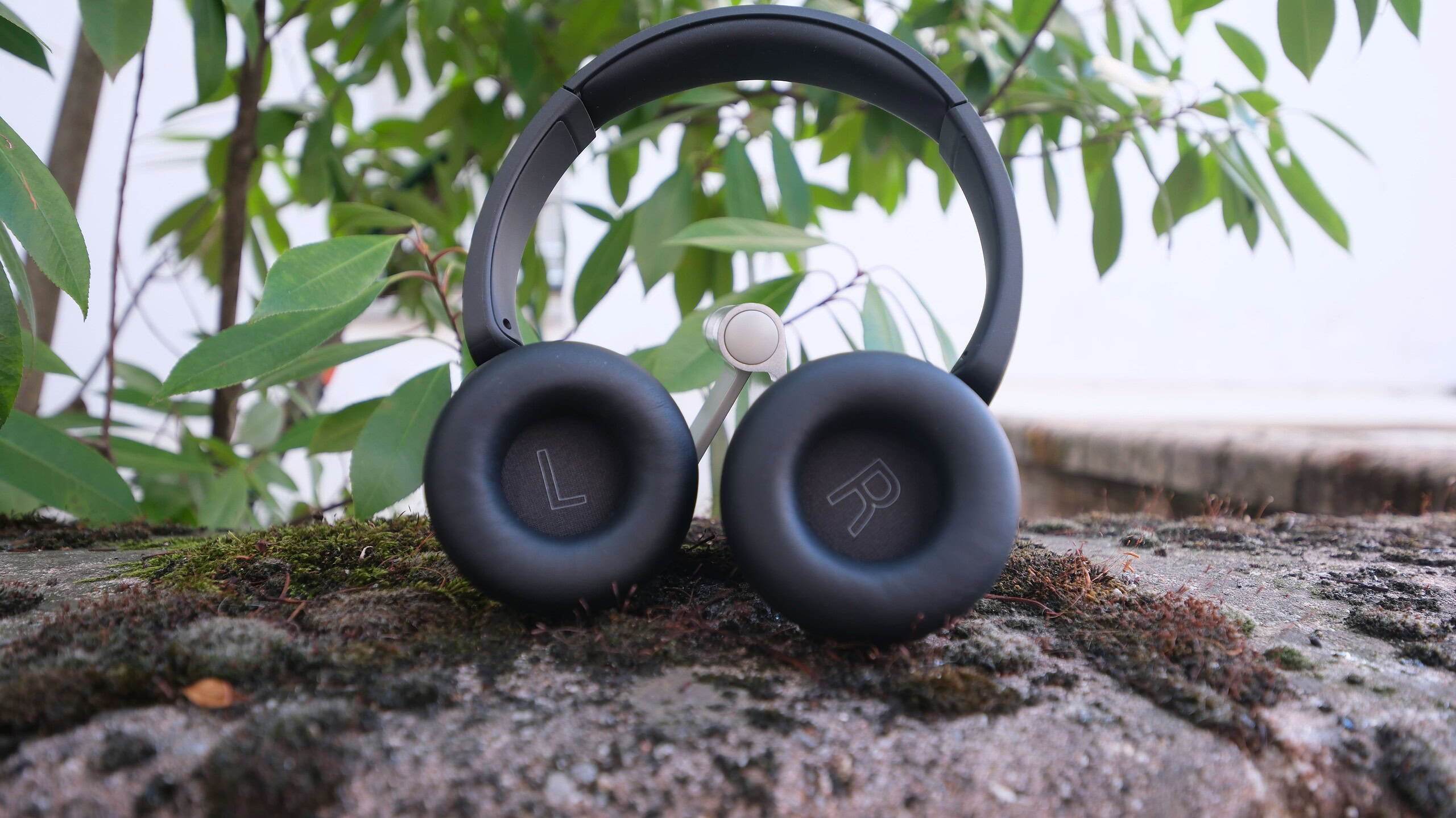 sony wh-ch530