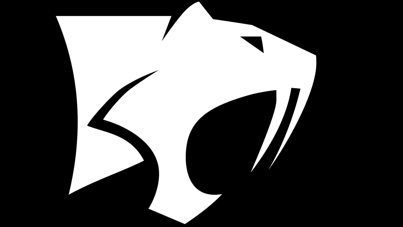 Saber Interactive non arretra sull'IA: la risposta di Tim Willits