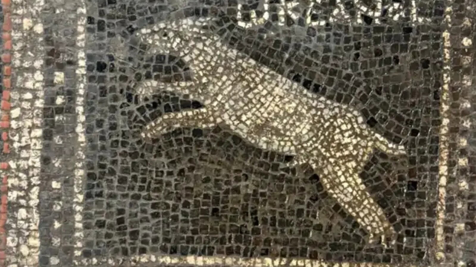 Mosaico romano di 1.800 anni: i nomi del gatto e del cane
