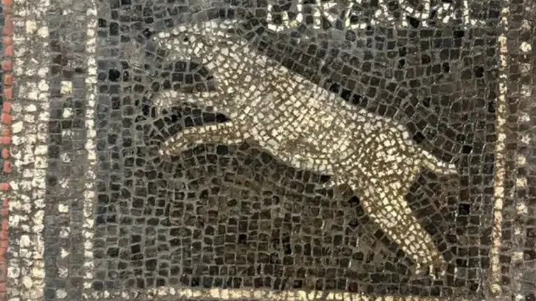 Mosaico romano di 1.800 anni: i nomi del gatto e del cane