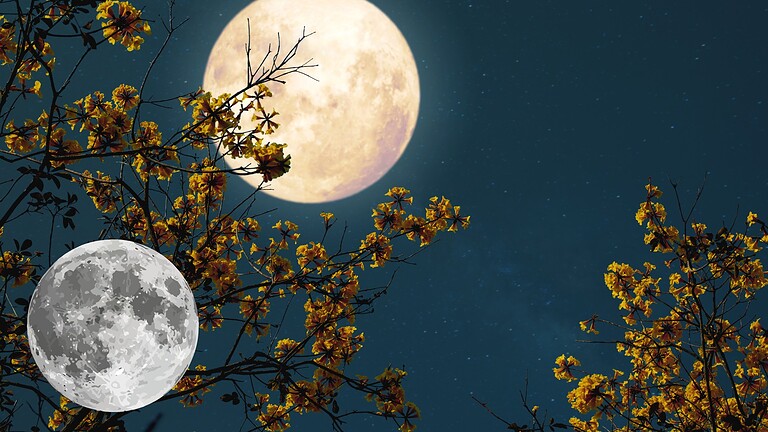 Luna, tracce di civiltà aliene nel suolo: l'ipotesi del SETI