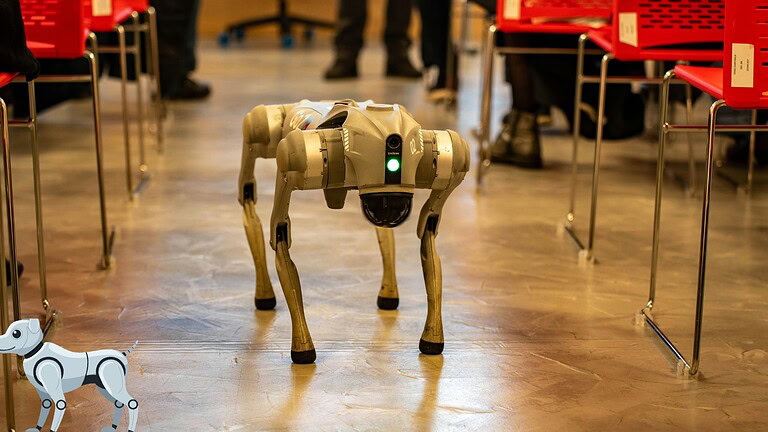 Cani robot nei campi: Syngenta li testa per ispezionare le piante