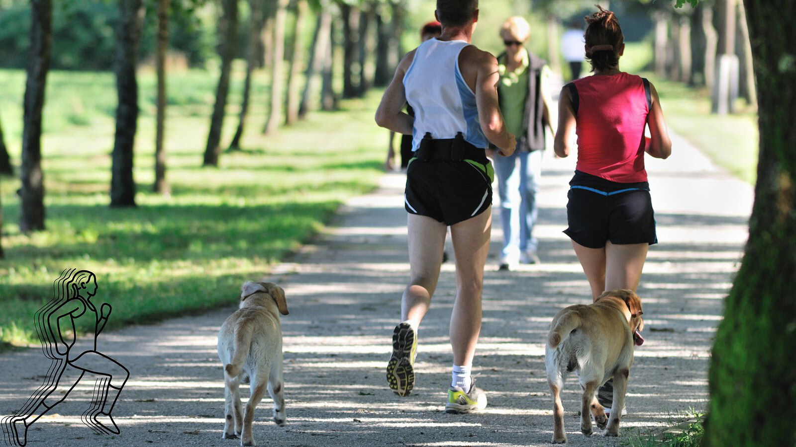 Corsa lenta: 10 minuti bastano per migliorare cervello e umore