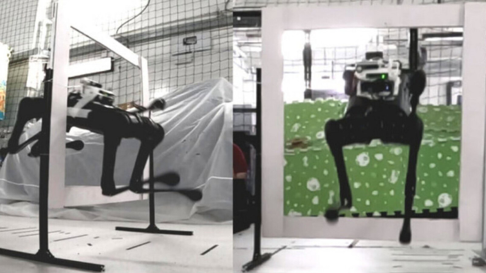 Robot quadrupede corre e salta da solo grazie all'IA