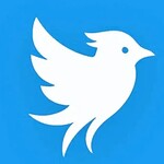 Twitter torna online ma con un altro nome: ecco Tweet.app