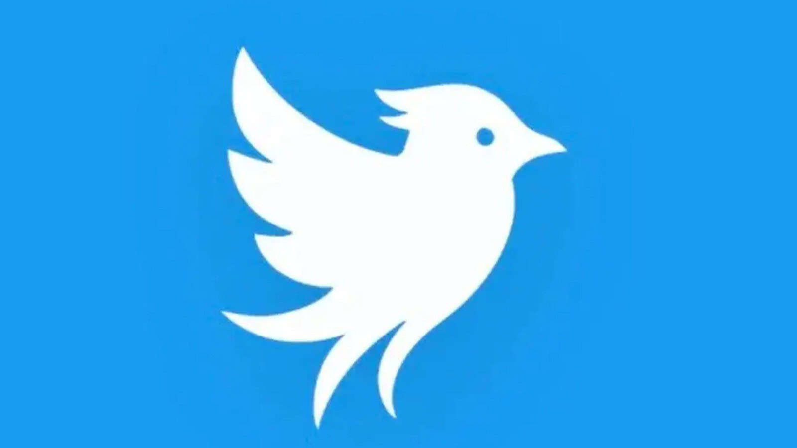 Twitter torna online ma con un altro nome: ecco Tweet.app