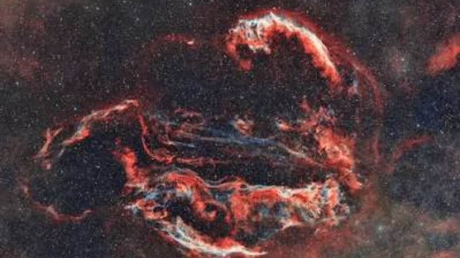 Astronomy Photographer of the Year 2026: lo squalo cosmico