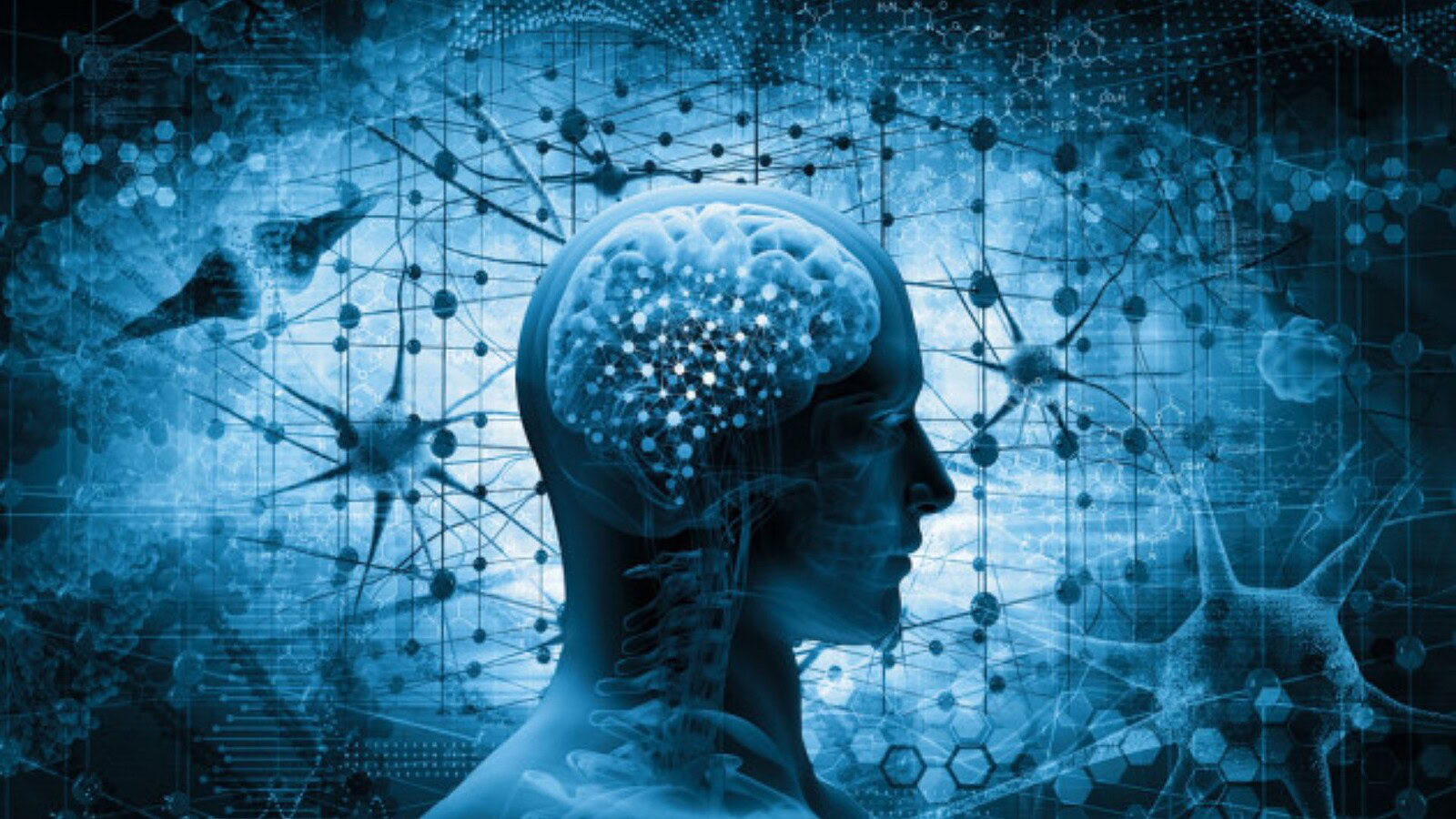 Cervello umano, scoperte due origini