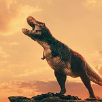 impronte di T. rex
