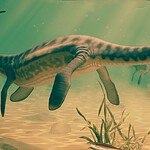 vomito fossile plesiosauro
