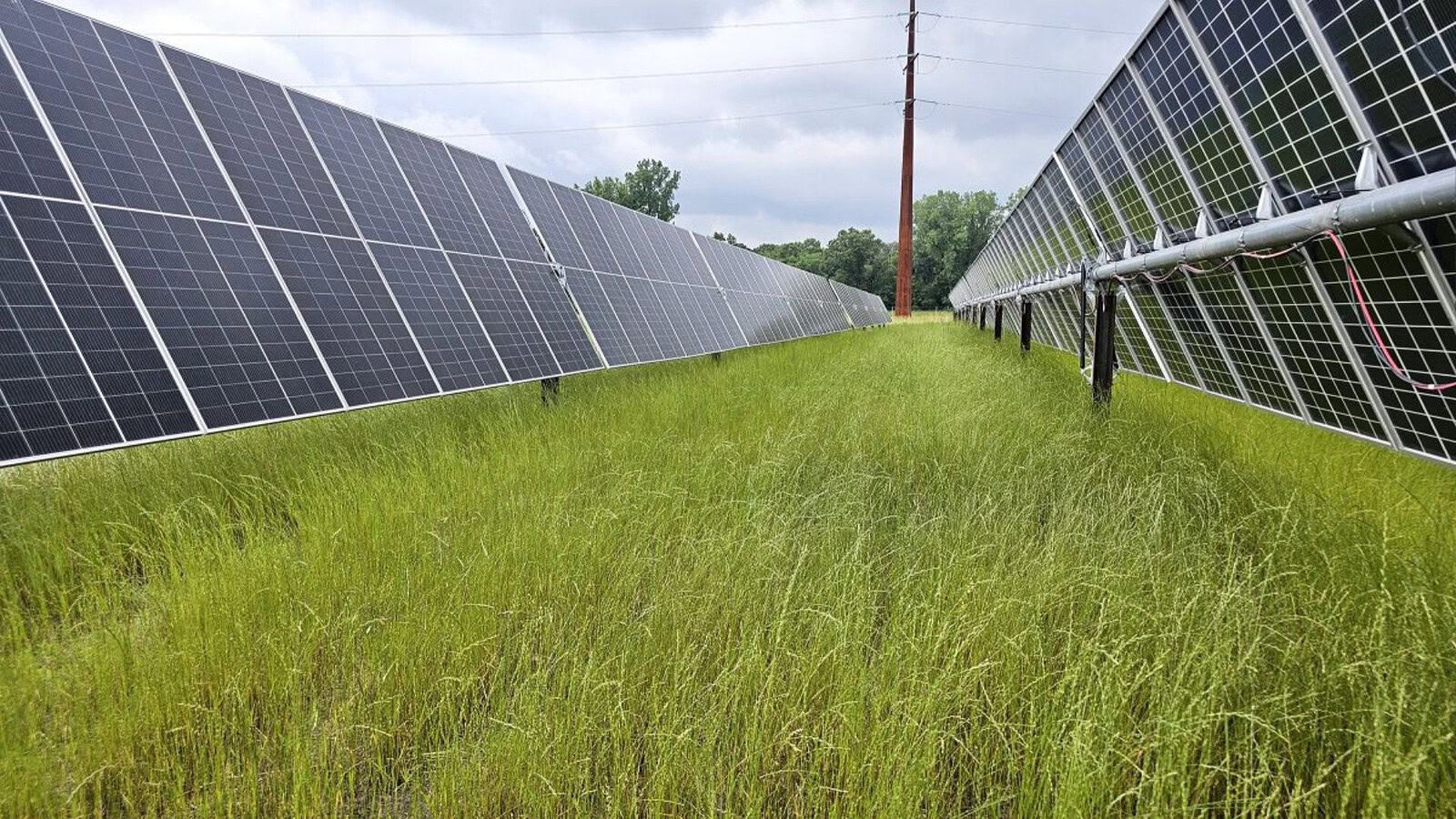 Mammoth Solar, il fotovoltaico con batterie allo zinco e litio