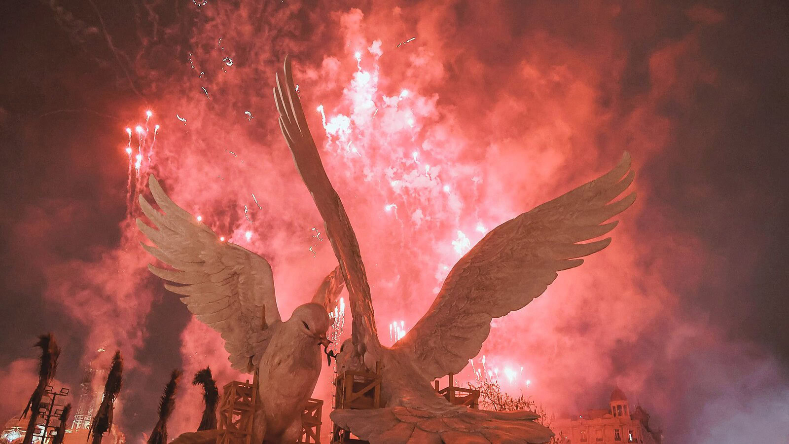 fuochi d'artificio uccelli