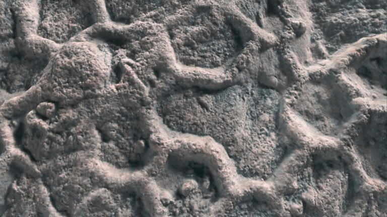 Paleodictyon