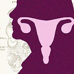 ovaie dopo la menopausa
