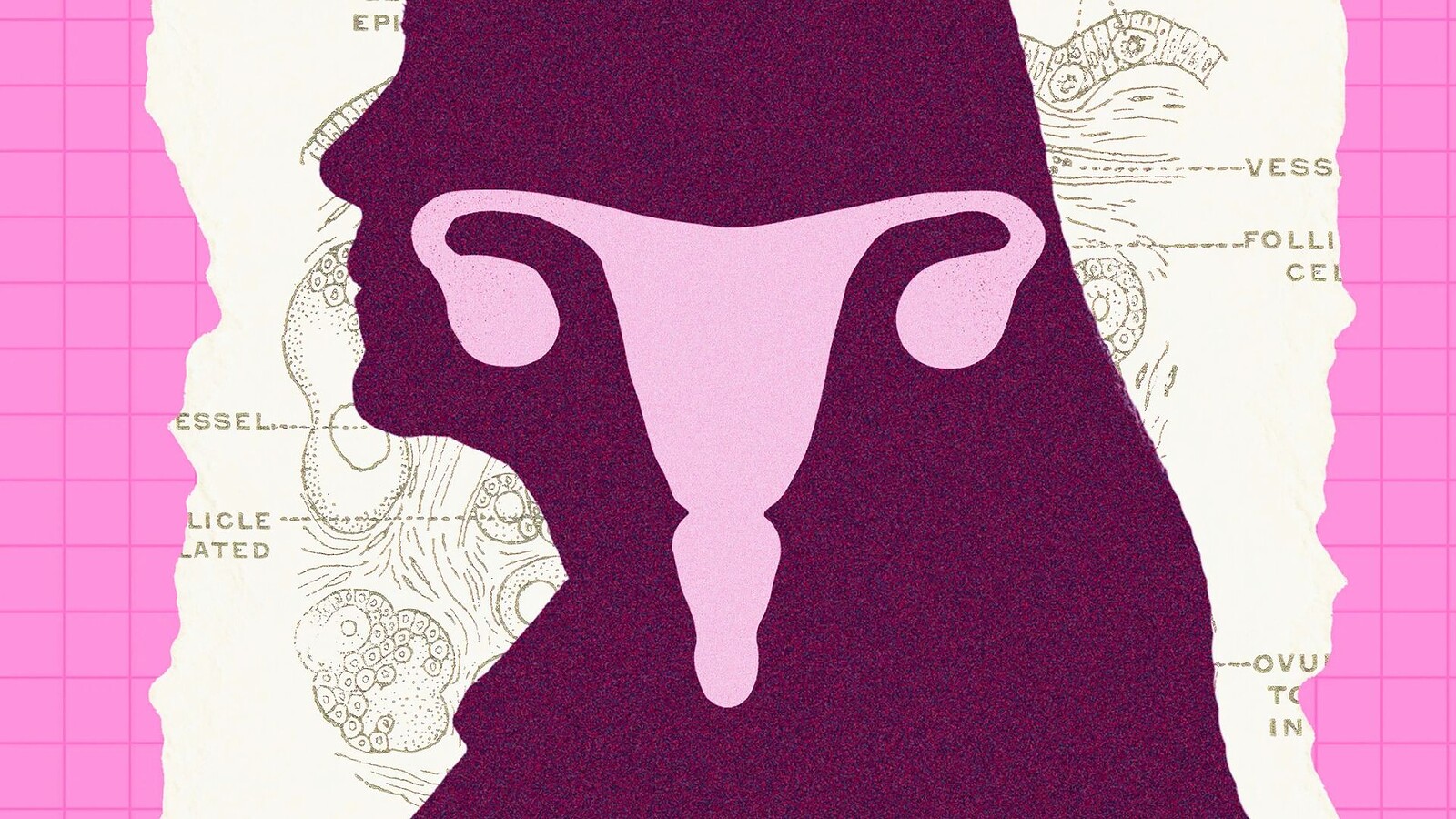ovaie dopo la menopausa