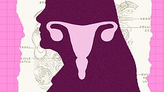 Ovaie dopo la menopausa: non sono spente, ma continuano a cambiare