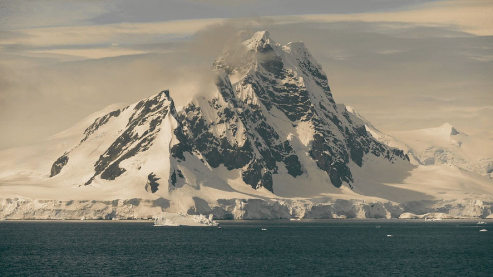 biodiversità antartica