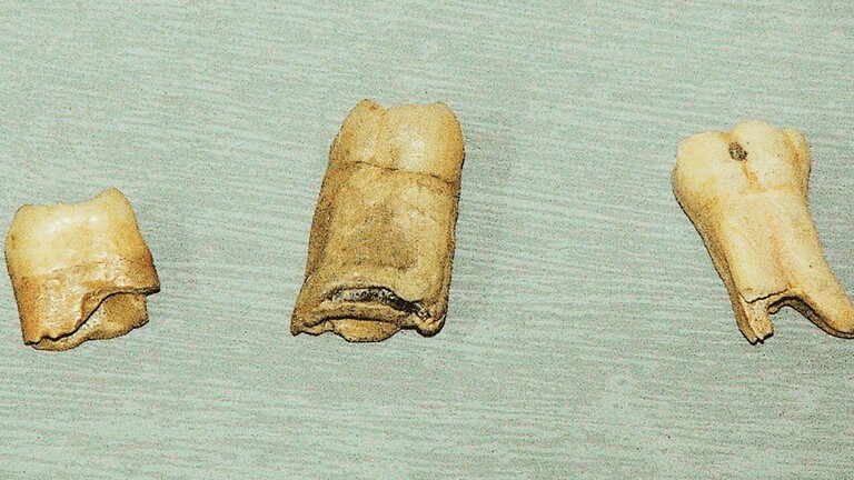 denti Neanderthal
