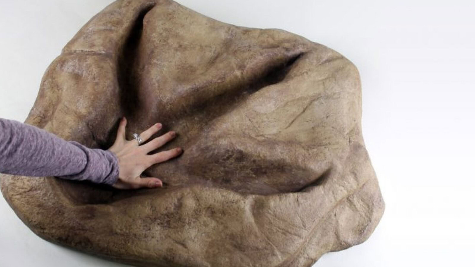 T. rex, le prime orme di un adulto svelano come camminava