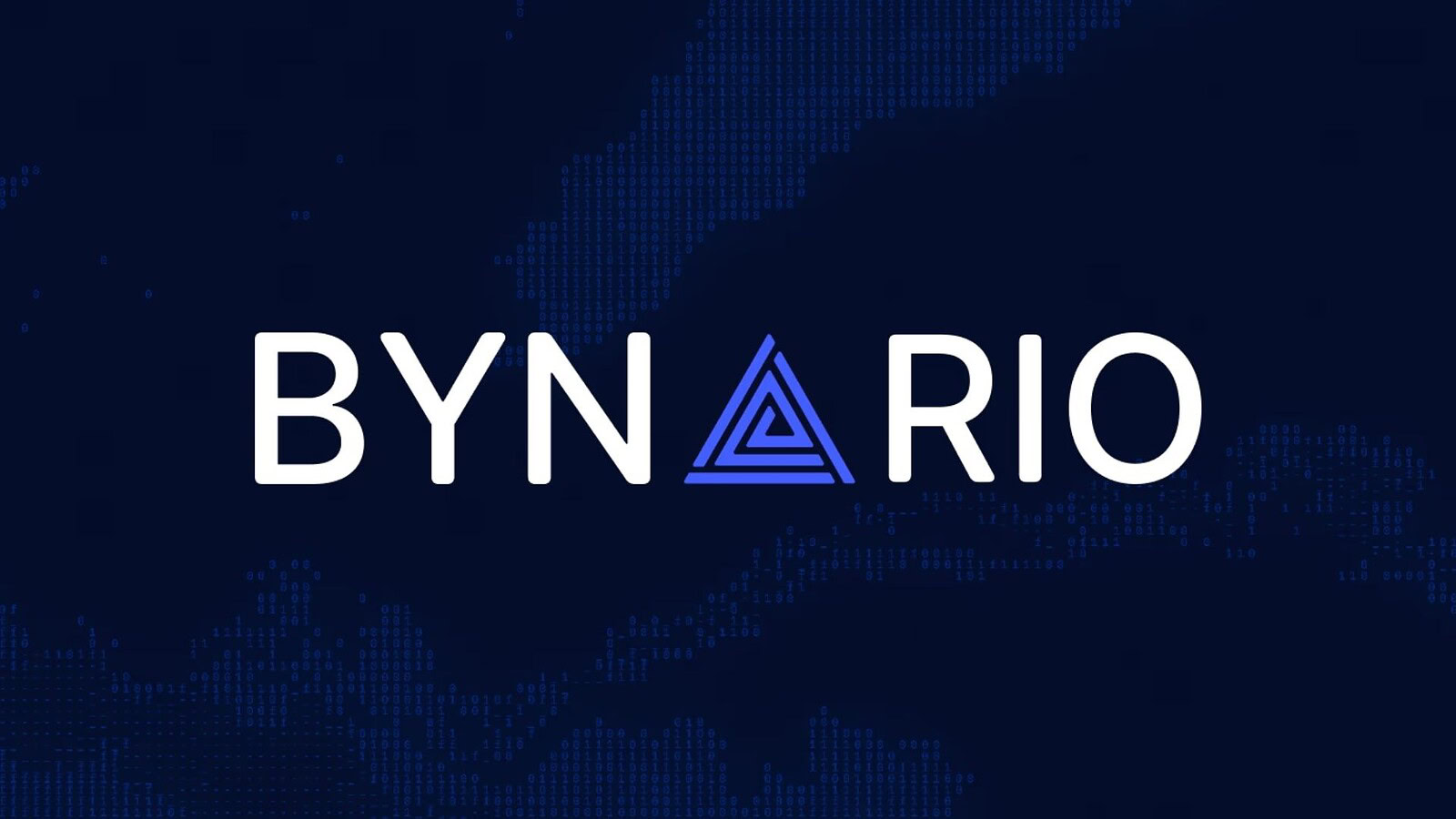 Bynario, 2,1 milioni per l'AI che caccia le vulnerabilità