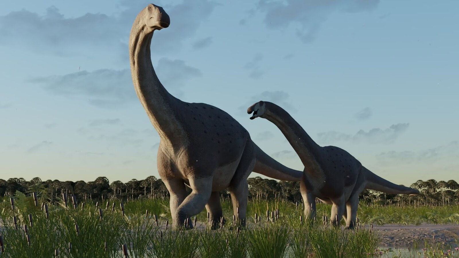 Titanosauri, nidi record al Nord: il trucco per scaldare le uova
