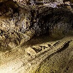 Cueva del Viento, 190 specie nel tubo lavico di Tenerife