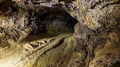 Cueva del Viento, 190 specie nel tubo lavico di Tenerife