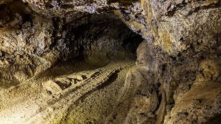 Cueva del Viento, 190 specie nel tubo lavico di Tenerife