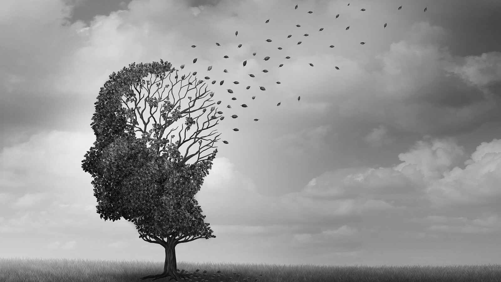 Alzheimer: il DNA si ripiega in modo alterato nel cervello