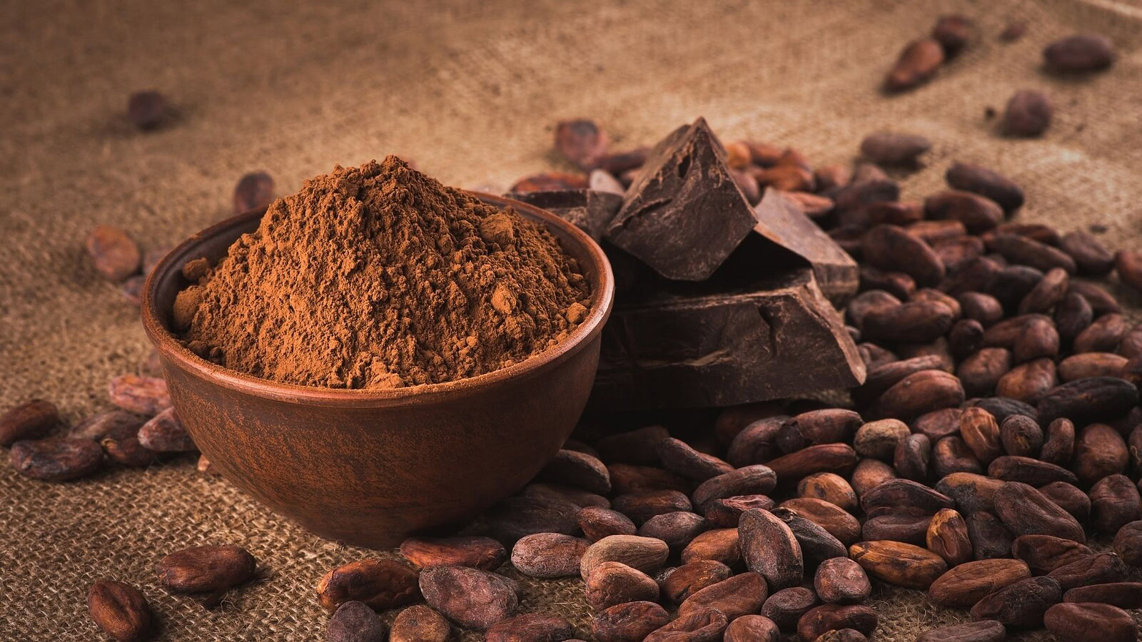 Cacao: le piogge intense riducono i raccolti, lo studio Harvard