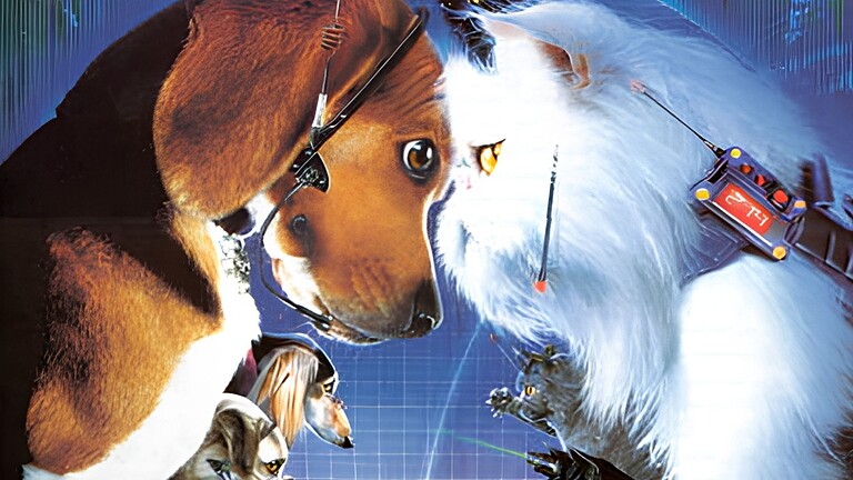 Gatti contro cani: l'indipendenza felina fa la differenza