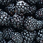 Pairwise, more senza semi con CRISPR nei supermercati dal 2030