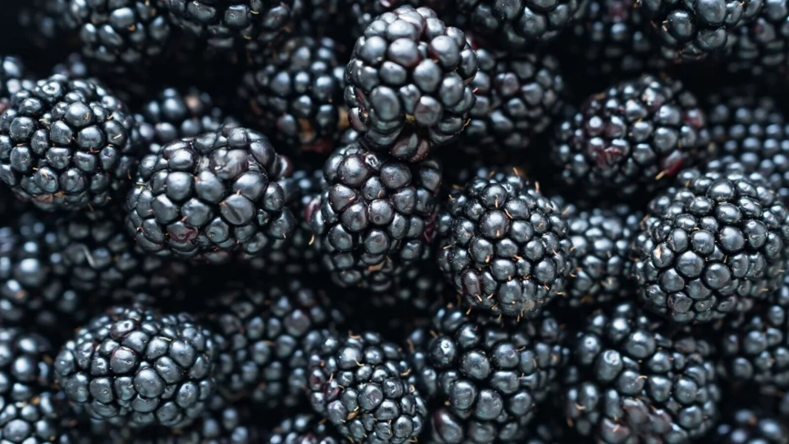 Pairwise, more senza semi con CRISPR nei supermercati dal 2030
