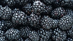 Pairwise, more senza semi con CRISPR nei supermercati dal 2030
