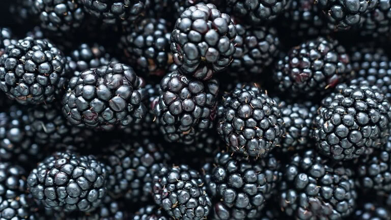 Pairwise, more senza semi con CRISPR nei supermercati dal 2030