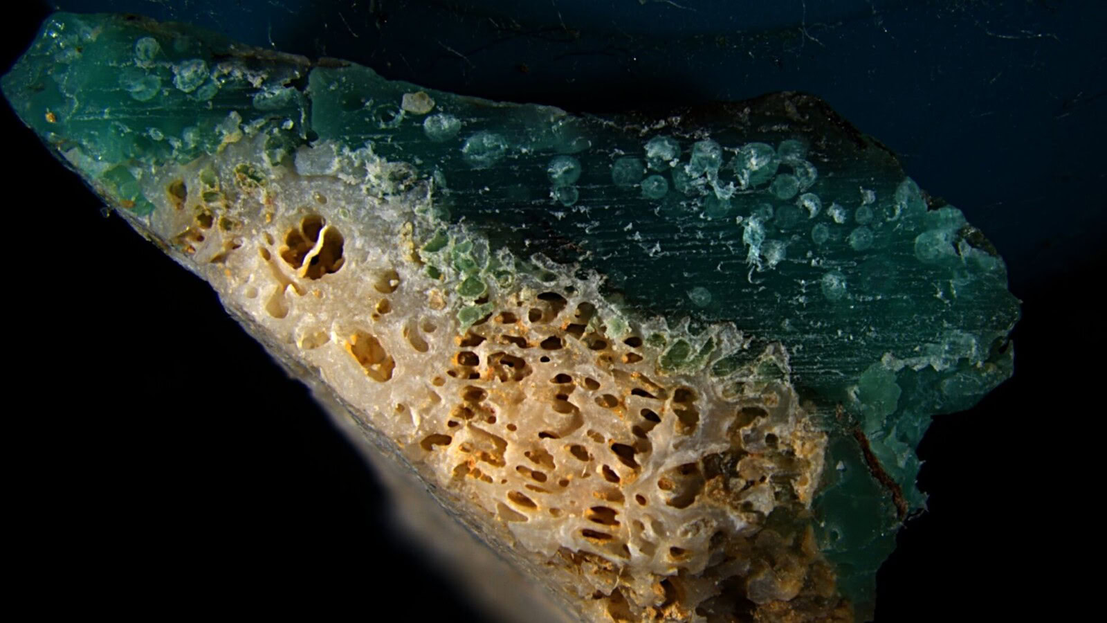 Plasticoral, il materiale nato da plastica e corallo fusi