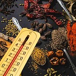 Cibo piccante nei climi caldi: lo studio su 33.750 ricette