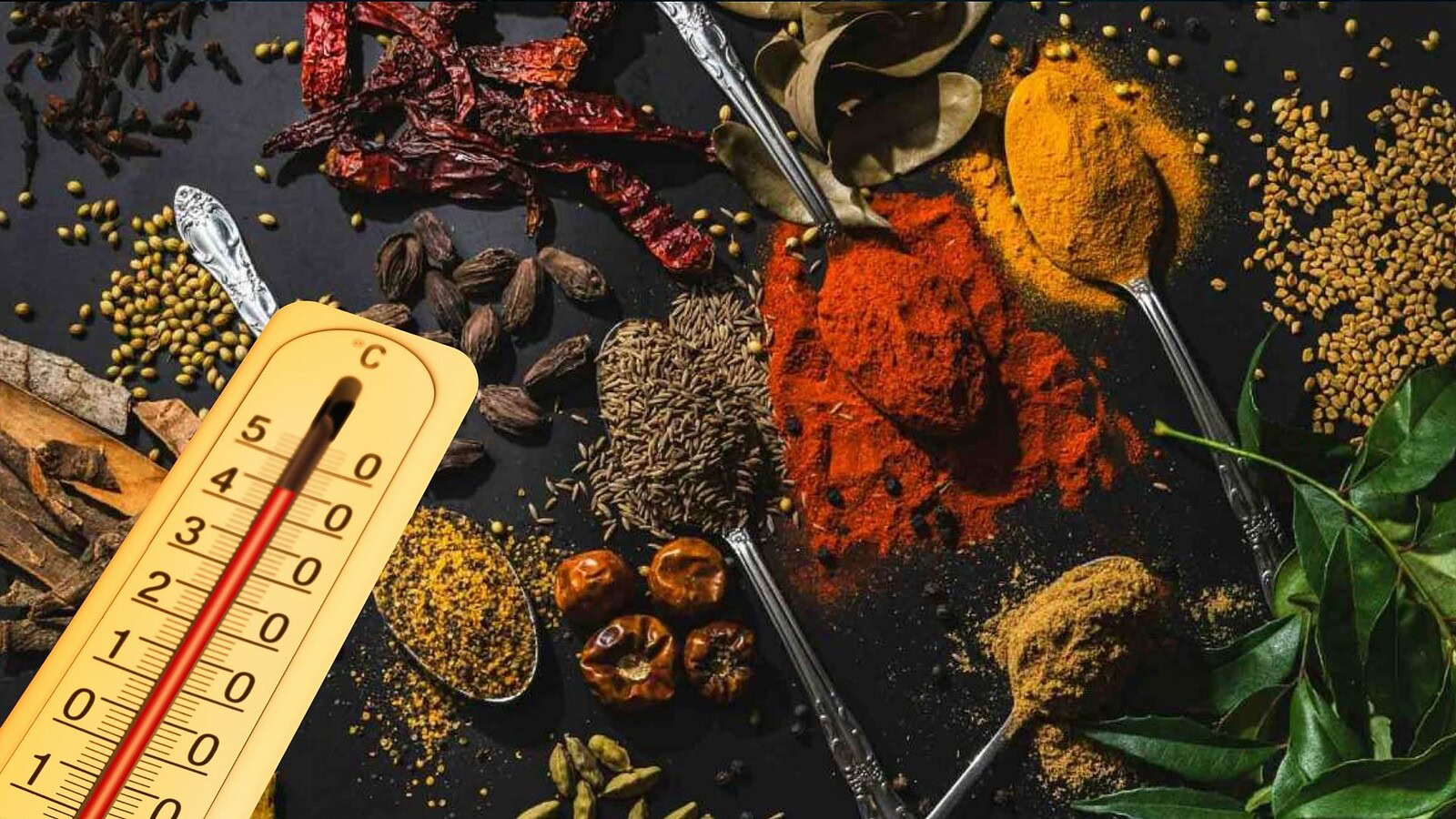 Cibo piccante nei climi caldi: lo studio su 33.750 ricette