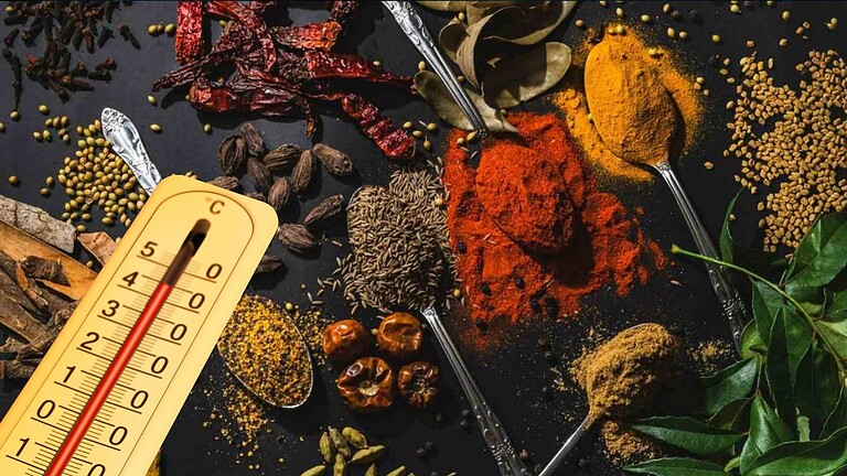 Cibo piccante nei climi caldi: lo studio su 33.750 ricette