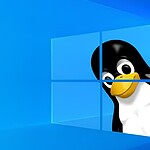 Linux potrebbe fare per te: programmatori, vecchi PC e browser