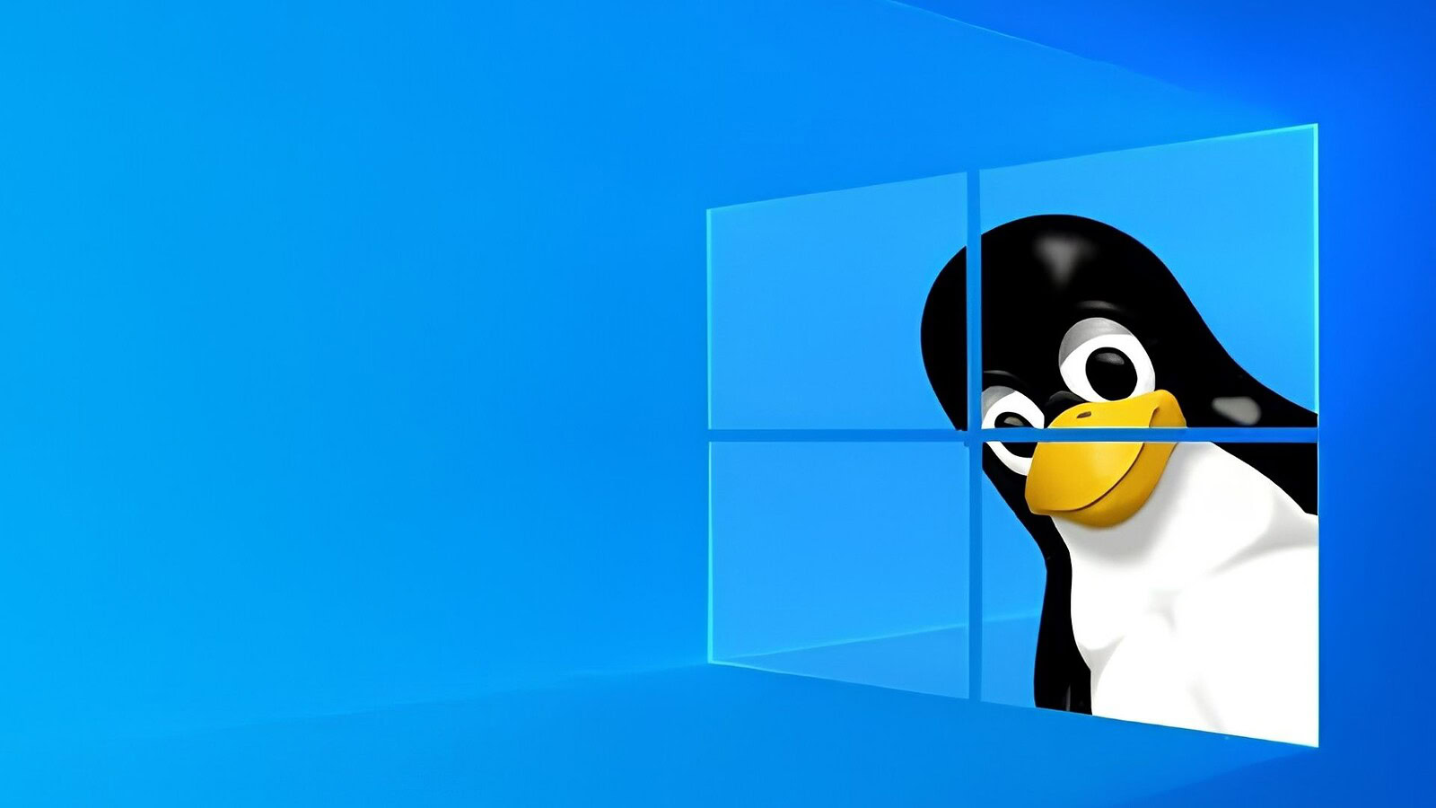 Linux potrebbe fare per te: programmatori, vecchi PC e browser