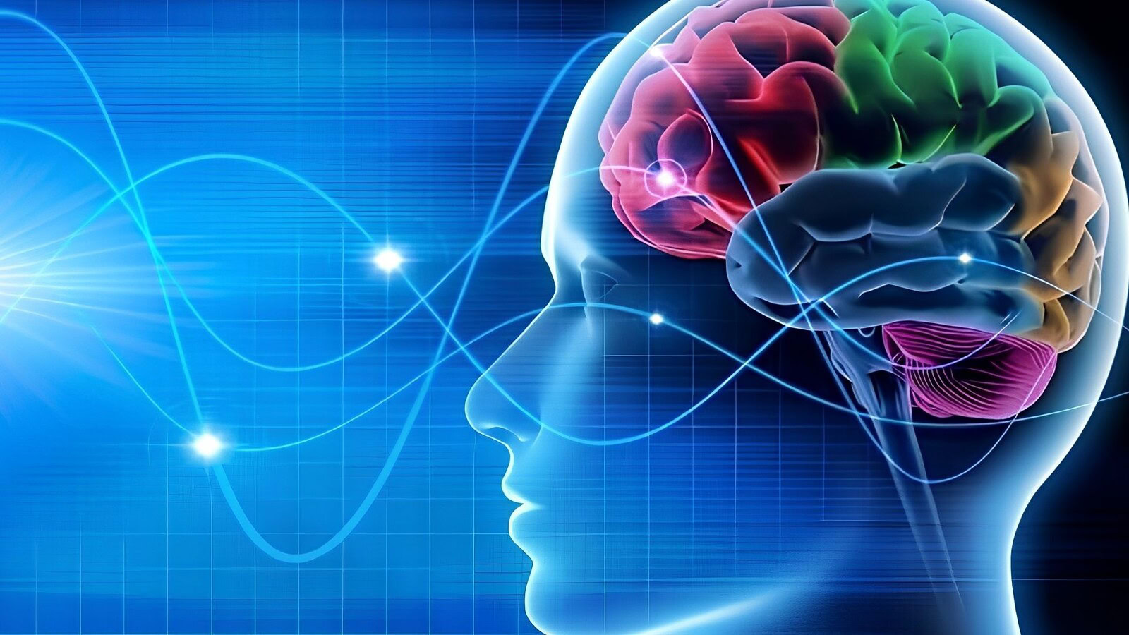 Sonno REM: sognare consuma l'energia dei neuroni più in fretta