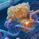 CRISPR, una sola infusione dimezza il colesterolo LDL per un anno