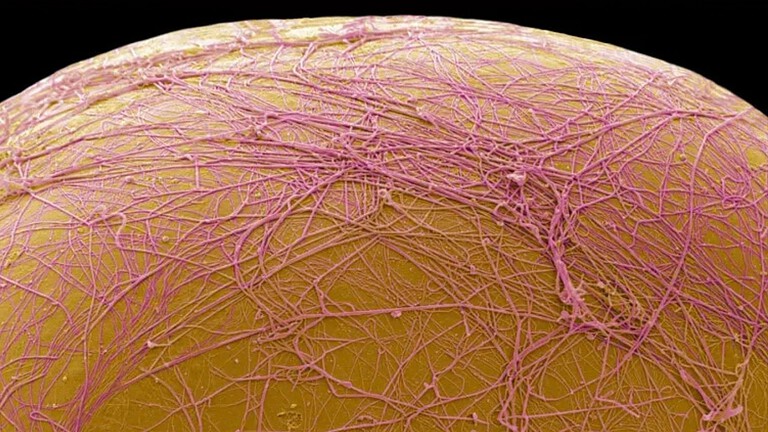 Farmaco sperimentale