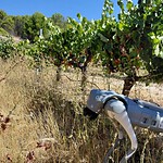 AGRHOUND, il cane robot con IA