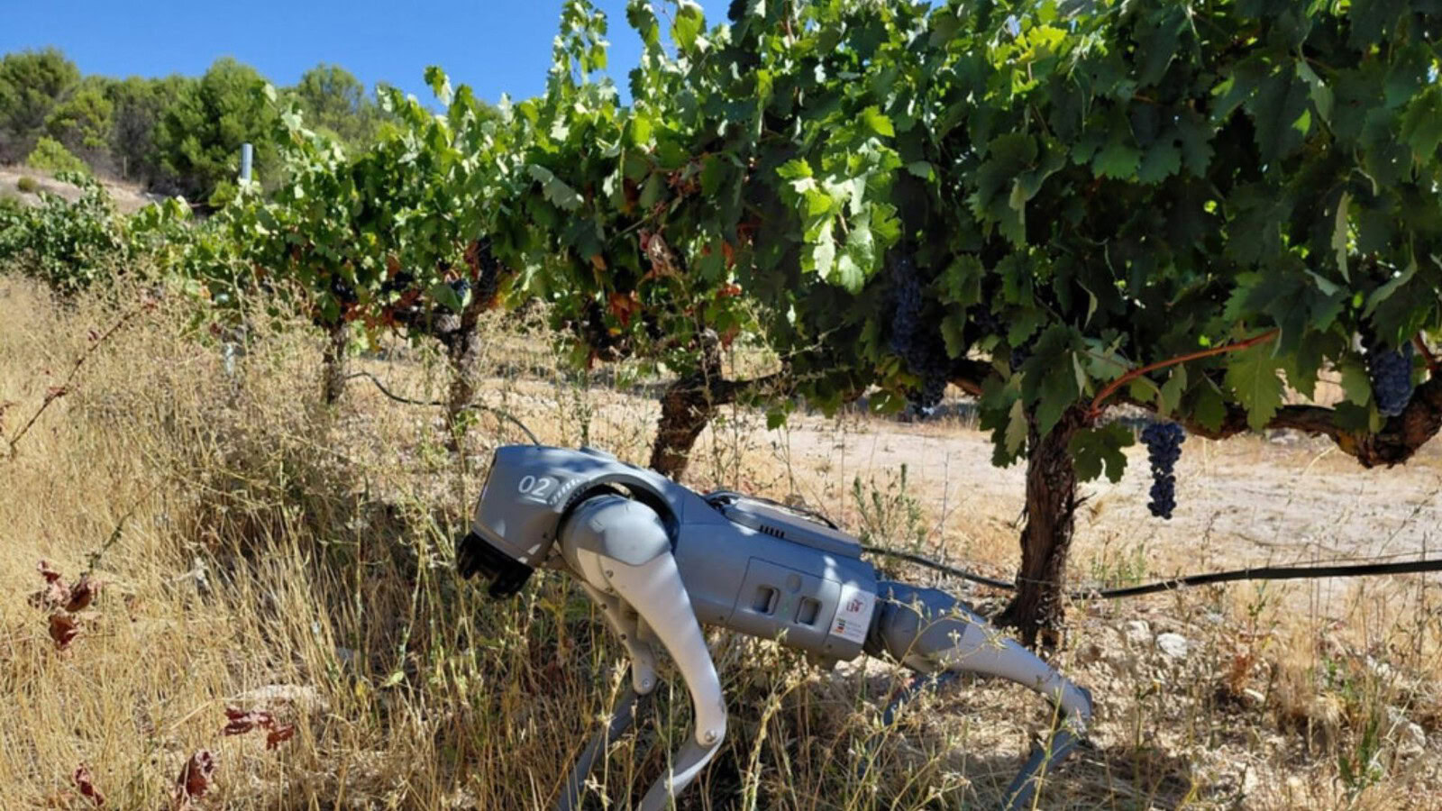AGRHOUND, il cane robot con IA