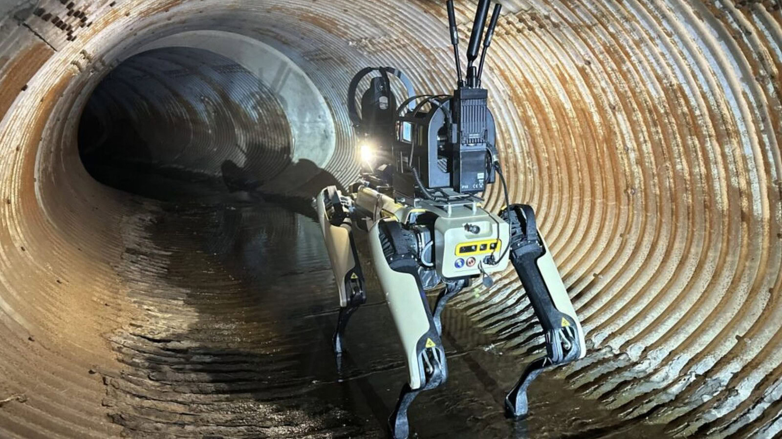 Boston Dynamics vende cani robot