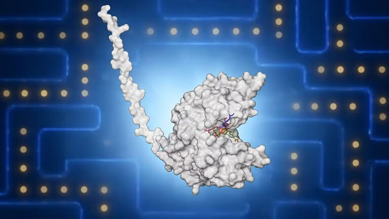 Il nuovo enzima Pac Man divora le bioplastiche in meno di un anno
